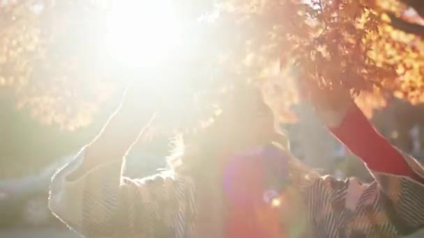 Sol joven sonriente mujer tocando hojas de arce rojo, destello dorado puesta del sol 4K — Vídeos de Stock