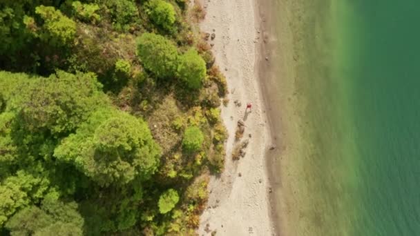 Widok z lotu ptaka na piaszczystą plażę — Wideo stockowe