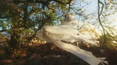 İklim değişikliği acil durumu, plastik torbaya yakın çekim yeşil ağaç dalları 