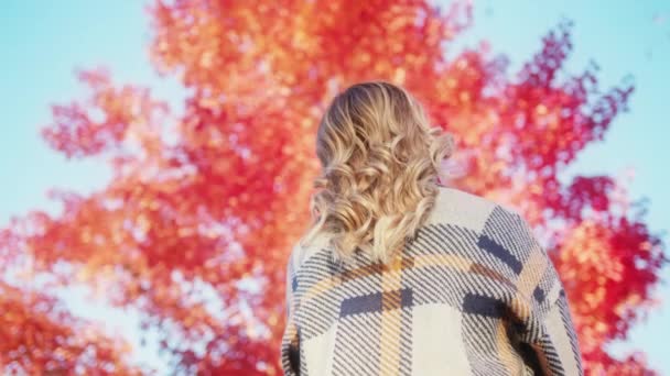 Mulher loira em câmera lenta no parque de outono, vista traseira senhora olhando na árvore vermelha 4K — Vídeo de Stock