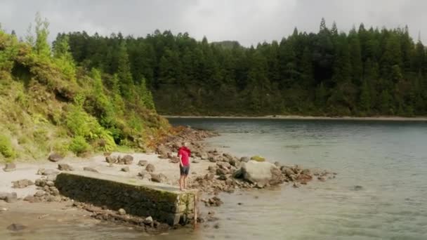 Drohnenaufnahmen der ikonischen Landschaft mit Meer und Wald — Stockvideo