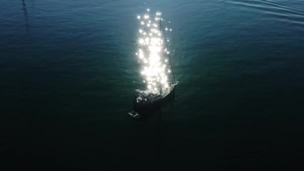 Cascais, Portugal, Europa. Luchtfoto van werknemers die in open oceaanwateren vissen — Stockvideo