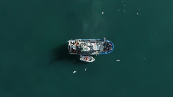 Cascais, Portugal, Europa. Schilderachtig landschap met een schip in open zee — Stockvideo