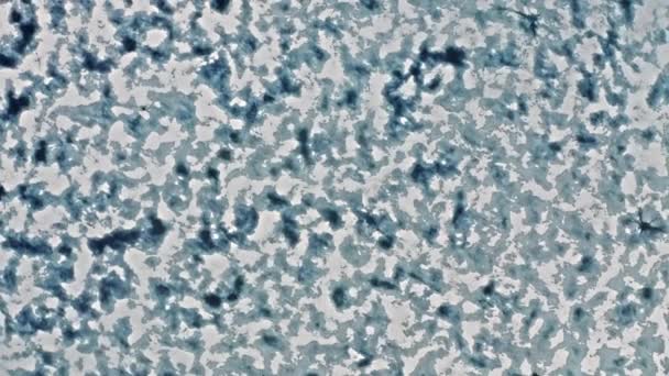 Icebergs drone vista superior de vídeo aéreo, Mudança Climática, Aquecimento Global, 4K antena — Vídeo de Stock