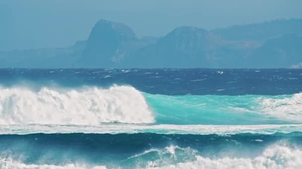 Potentes olas de mar tormentosas de la mundialmente famosa playa de Tiburón en Maui, isla de Hawaii — Vídeos de Stock