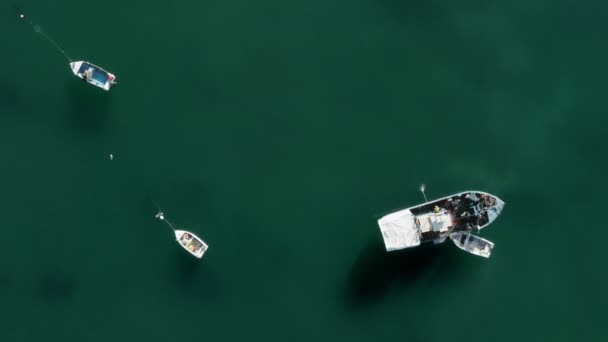 Luchtfoto van een groot schip en kleine vaartuigen in turquoise oceaanwateren — Stockvideo