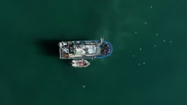 Balıkçıların insansız hava aracı görüntüleri daha küçük bir tekneye geçiyor.
