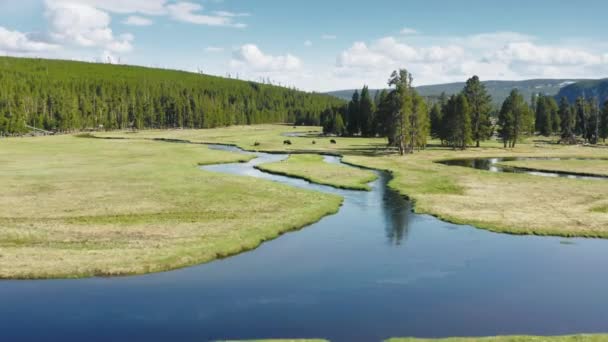 Natureza selvagem cinematográfica com rio curvo cênico correndo pelo prado verde 4K — Vídeo de Stock