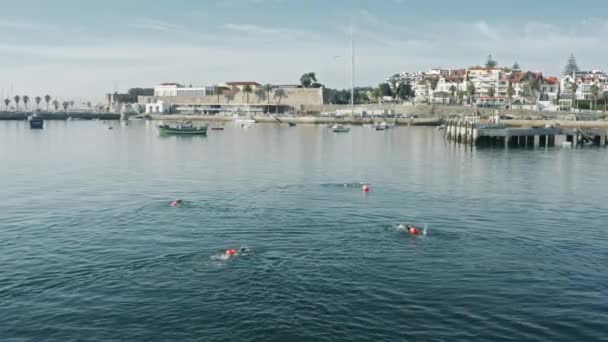 Bilder av människor när du simmar med stadsbilden i bakgrunden — Stockvideo