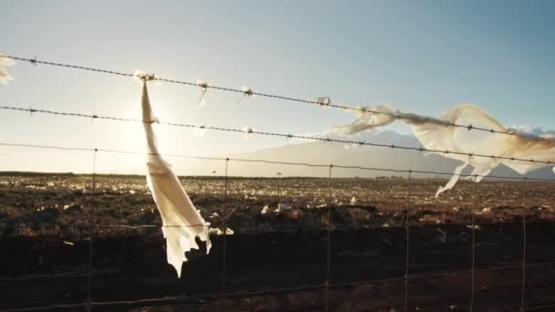 Décharge de campagne au coucher du soleil, clôture barbelée enveloppant plastique volant sur le vent 4K — Video