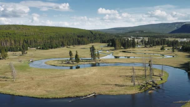 Verão aventura viagem fundo, 4K aérea Yellowstone parque, Wyoming natureza — Vídeo de Stock