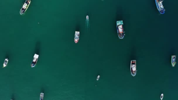Cascais, Portugal, Europa. Boote angeln bei Sonnenaufgang von oben gesehen — Stockvideo