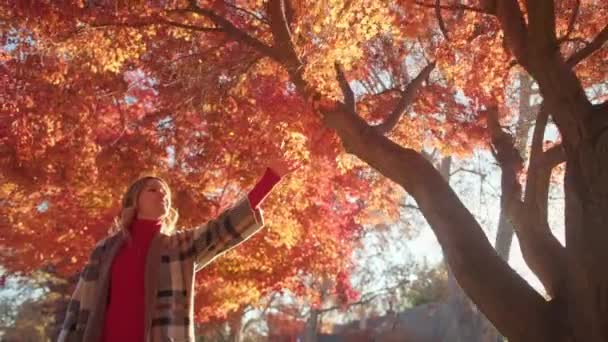 Temporada de otoño cinematográfico cámara lenta 4k sonriente mujer caminando en el soleado día de otoño — Vídeos de Stock