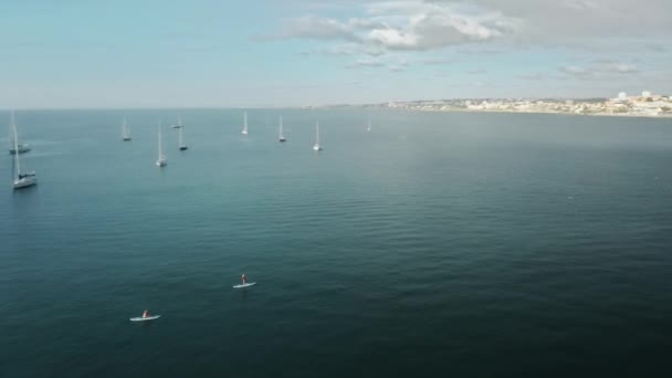 Cascais, Portugal, Europa. Mensen zweven op de paddle boards bij zonsopgang — Stockvideo
