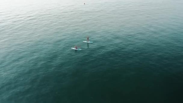 朋友们用桨进行锻炼的镜头 — 图库视频影像
