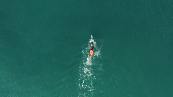 Bovenaanzicht van een zwemmer met een oranje stevige droge tas — Stockvideo