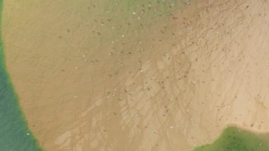 Düşük gelgitle yıkanmış resimli manzaranın havadan görüntüsü.