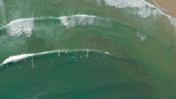 Baleal, Portugalia, Europa. Widok z lotu ptaka na łodzie rybackie pływające podczas odpływu — Wideo stockowe