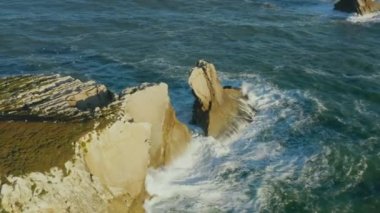 İzole edilmiş yeşil bir adanın insansız hava aracı görüntüleri.