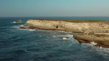 Baleal, Portekiz, Avrupa. Kuşlar kıyı üzerinde uçuyor