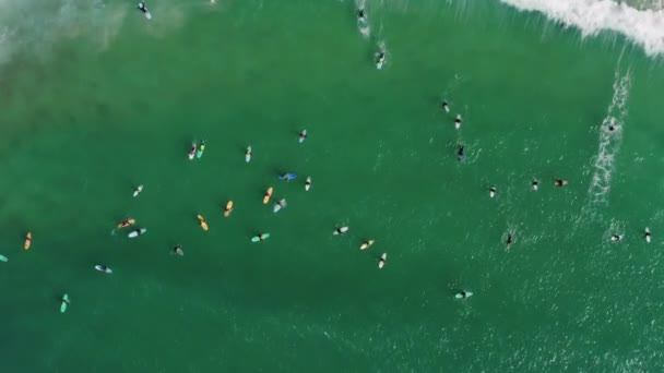 巴莱，葡萄牙，欧洲。冲浪者迎面而来的空中景象 — 图库视频影像