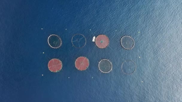 Κηφήνας πλάνα από δίχτυα αλιείας μέσα σε γαλαζωπά νερά του ωκεανού — Αρχείο Βίντεο