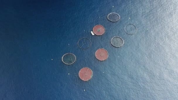 Appareils circulaires pour la pêche vus d'en haut — Video