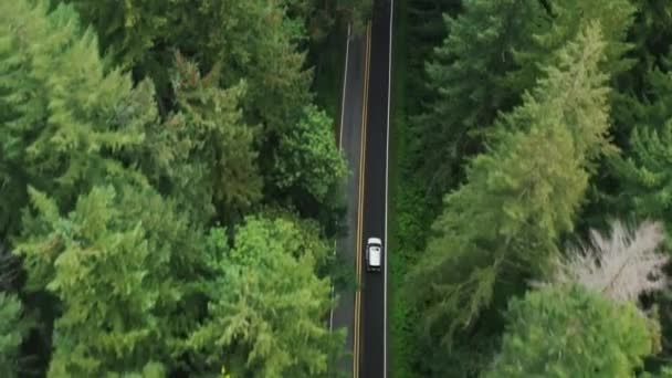 Aerial top down 4K widok biały samochód jazdy po drodze kraju w lesie iglastym — Wideo stockowe
