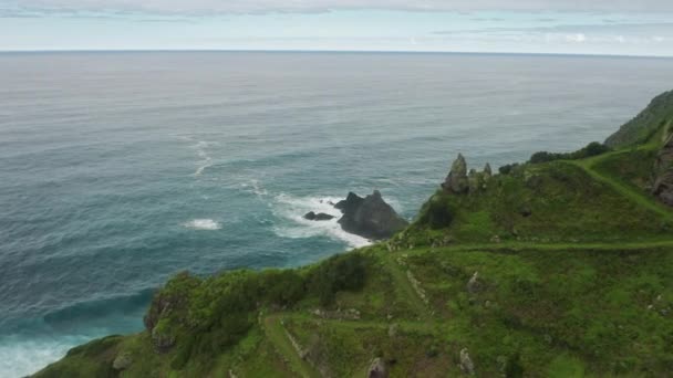 Montagnes volcaniques couvertes de plantes endémiques — Video