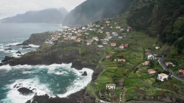 Vista aérea del bosque indígena Laurissilva, ocupando la isla — Vídeos de Stock