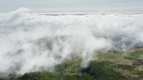 Αεροφωτογραφία της πράσινης βλάστησης στην κορυφή ενός οροπεδίου που περιβάλλεται από ουρανό — Αρχείο Βίντεο