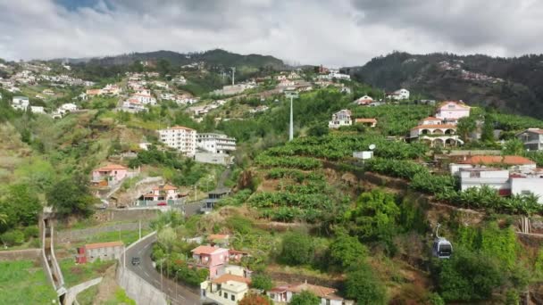 Драматическая красота острова Мадейра с пышной флорой — стоковое видео