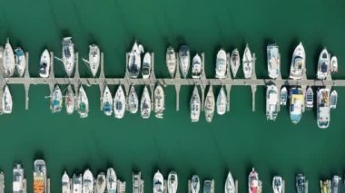 Lagos marinası, Algarve, Portekiz, Avrupa. Şehrin limanına demirlemiş tekneler