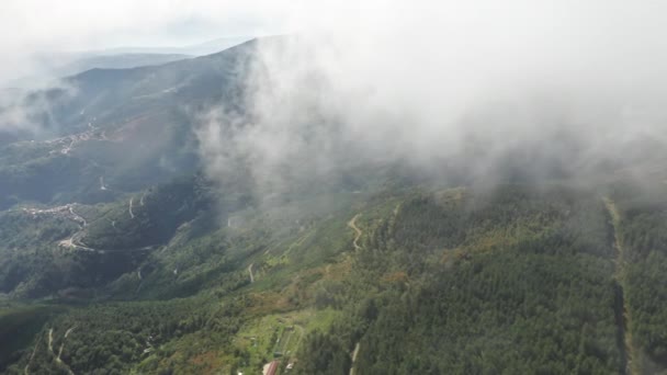 Árvores florestais que crescem em colinas de montanha em dia nublado, Portugal, Europa — Vídeo de Stock