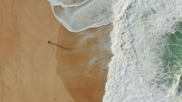 Filmagem aérea de um homem caminhando ao longo da praia — Vídeo de Stock