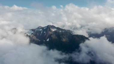 Dağ zirvesinde hava manzaralı yeşil çam ormanı kalın sis bulutlarıyla kaplı 4K
