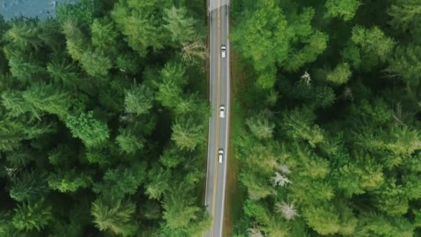 Filmluftfahrzeuge fahren an blauer Gebirgsflussbrücke im grünen Wald vorbei — Stockvideo