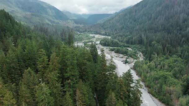 Vista aerea sul fiume montano cinematografico nella foresta pluviale verde della giungla, riprese 4K — Video Stock