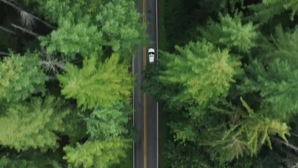 山への密な森の中で道路の高速道路で空中快適なSUV車の運転 — ストック動画