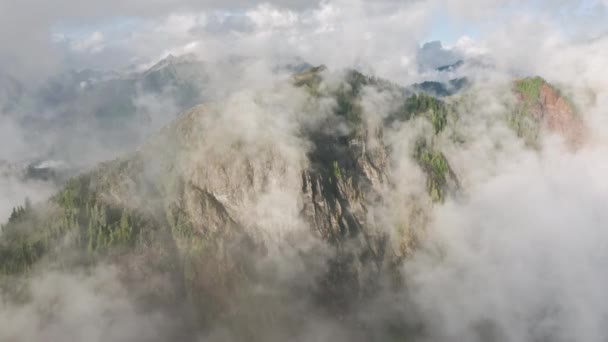 Voler à travers les nuages au-dessus des sommets de montagne, Hauts sommets verts avec forêt de pins — Video