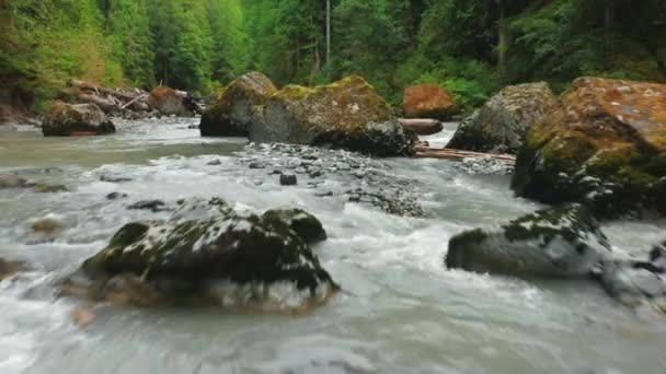 Yeşil ormandaki güzel dağ nehri, İHA alçaktan uçuyor 4K hava aracı — Stok video