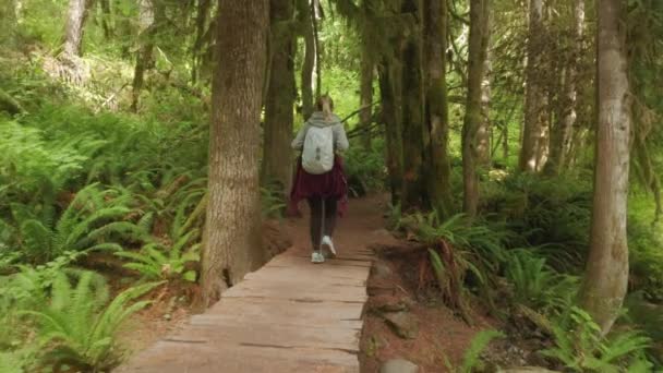 Widok z tyłu niezależnej kobiety spacerującej szlakiem w gęstym zielonym mchu lasów deszczowych — Wideo stockowe