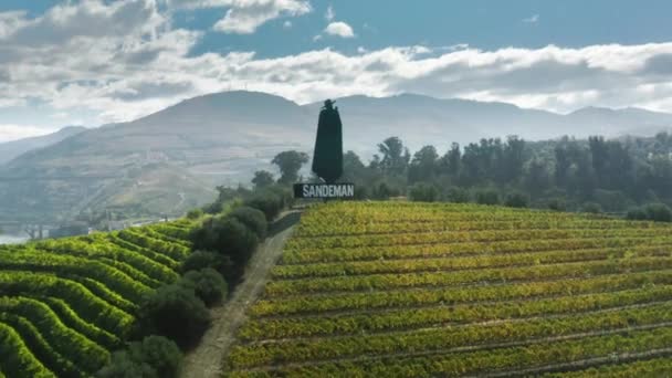 Dağın tepesindeki Sandeman heykeli, Peso da Regua, Vila Real, Portekiz — Stok video