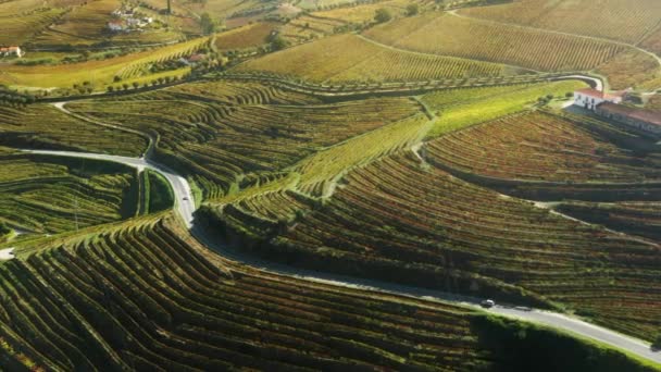 Auto 's rijden op de weg in het landbouwgebied, de productie van wijn in Peso da Regua — Stockvideo