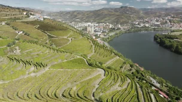 Terrazze di vigneti coperti colline di montagne a Peso da Regua, Vila Real — Video Stock