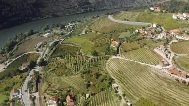 Vila Real 'deki Douro Nehri' nde üzüm bağı çiftlikleri olan Peso da Regua köyü. — Stok video