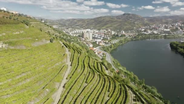 포르투갈의 빌라 레알, 페소 다 레과에 있는 포도원들로 이루어진 장미와 함께 있는 두 로 계곡 — 비디오