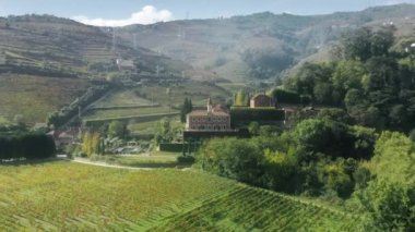Peso da Regua 'daki lüks villalarda yetişen üzüm bağı tarlaları, Vila Real