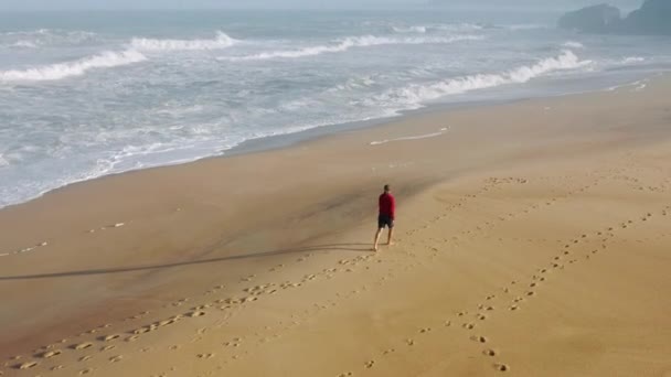 吸引人的背景下美丽的海滨风景的无人机镜头 — 图库视频影像