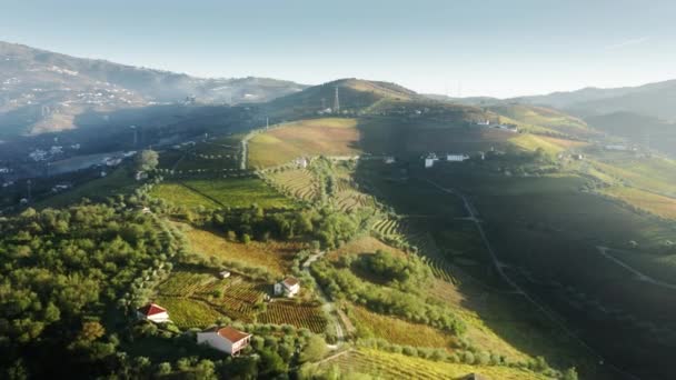 Landschaft mit Weinbergen in Peso da Regua, Vila Real, Portugal, Europa — Stockvideo